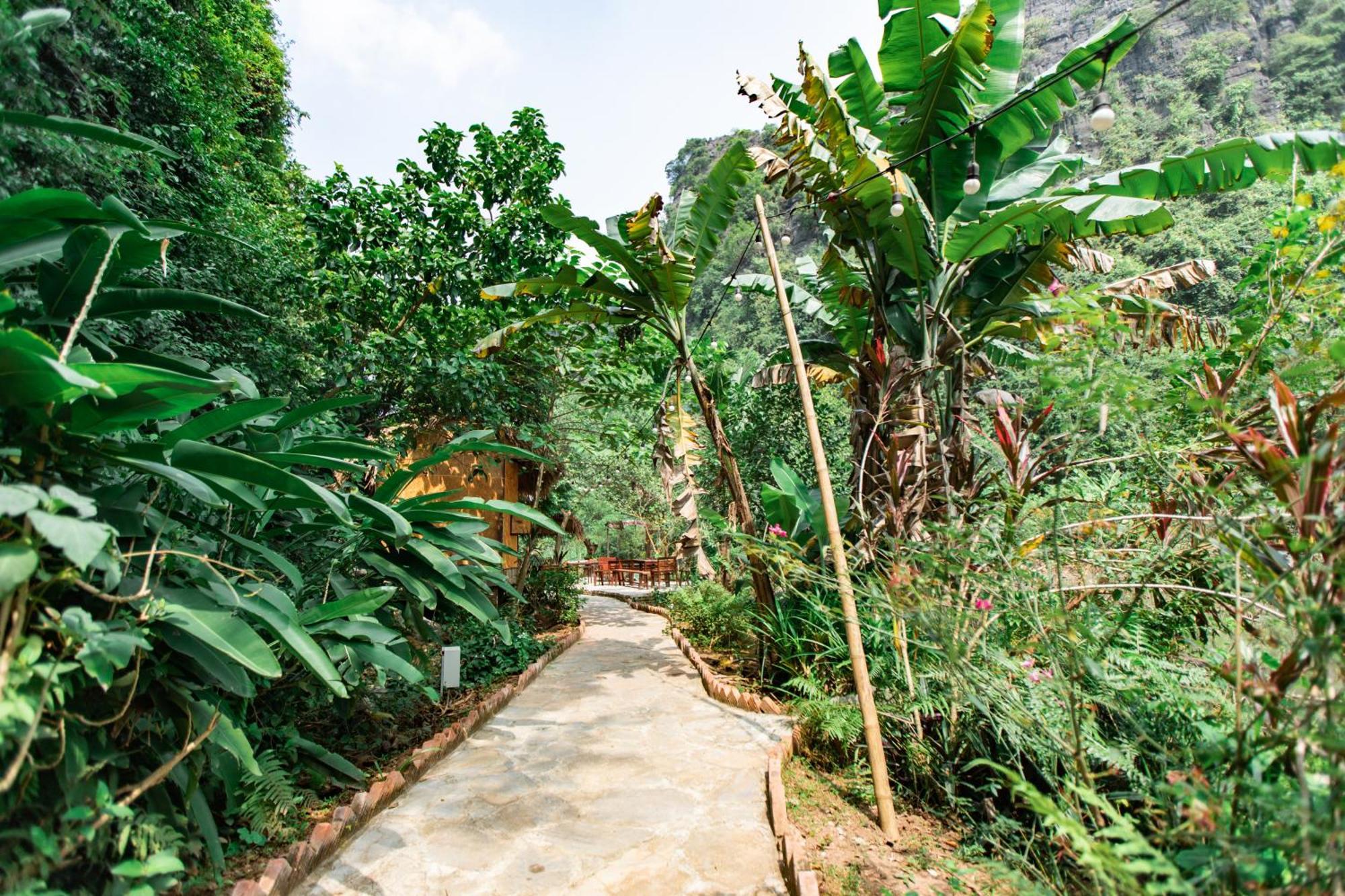 Thung Sen Tam Coc Chalets นิญบิ่ญ ภายนอก รูปภาพ
