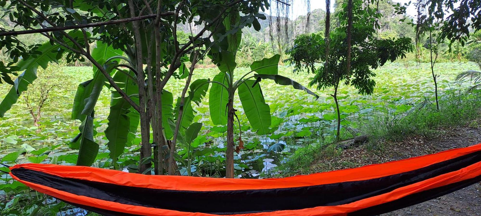 Thung Sen Tam Coc Chalets นิญบิ่ญ ภายนอก รูปภาพ